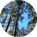 Reviewer Image